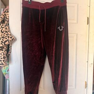 Velvet Jogger Pants in Deep Burgundy